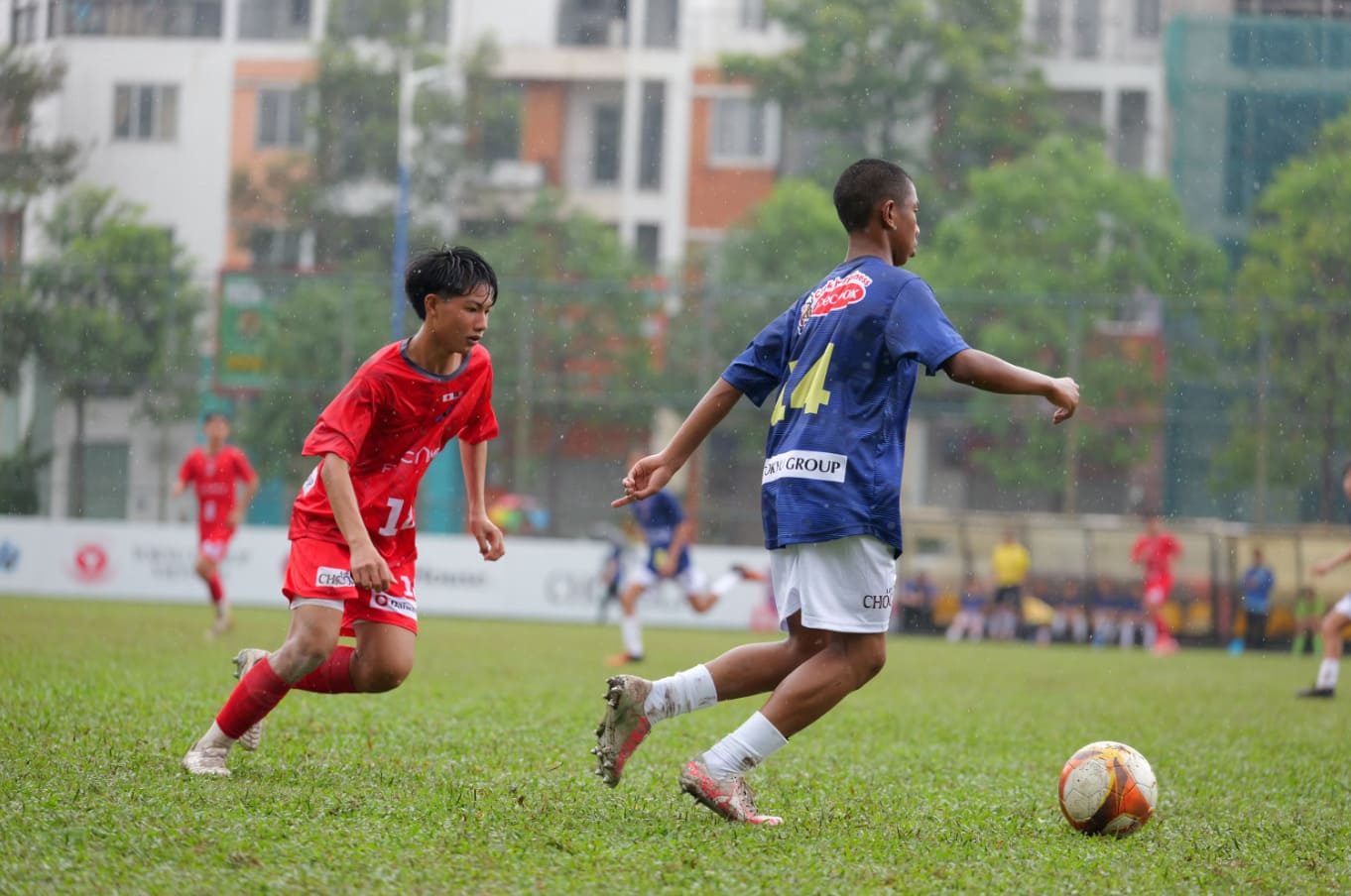 b6-1